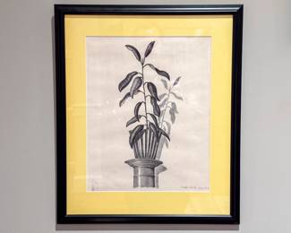18”×22” Wade White Signed Original Botanical Drawing – Professionally Framed