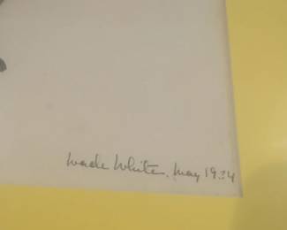  18”×22” Wade White Signed Original Botanical Drawing – Professionally Framed