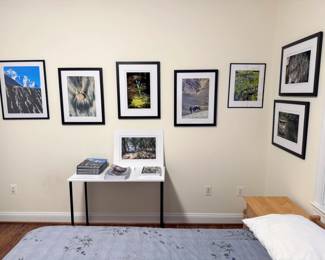 Professionally framed photography by Jeffrey Marqusee