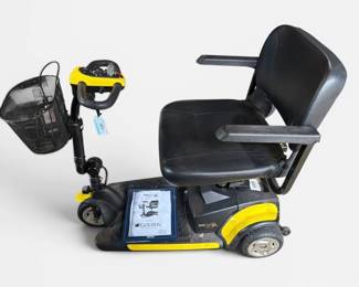 Golden Buzz Around XL Scooter