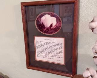 Framed cotton artwork with printed history. Rustic farmhouse wall décor in a wood frame. Southern country decor
