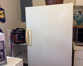 Upright deep freezer