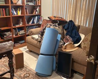 Books, sofa, rug