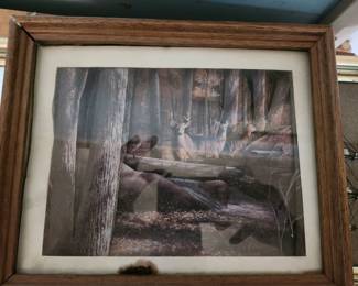 Framed wildlife print featuring white-tailed deer in a wooded forest setting. Rustic cabin and lodge-style décor in a solid wood frame. Displays well and is ideal for a den, hunting lodge, or country home. Frame and print show some age-related wear and minor discoloration consistent with use. $30 plus shipping or local pickup.