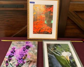 Framed Floral Photography Prints