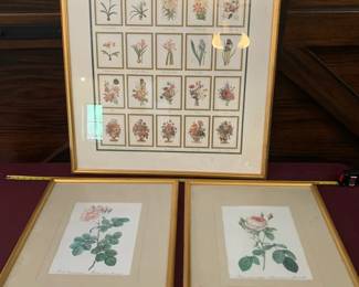 Framed Floral Art Prints