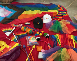 Lot 47: Rainbow Pride Decor