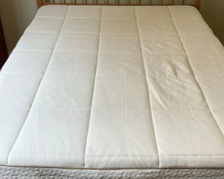 Lot 169: Full Sized Plarform Bed