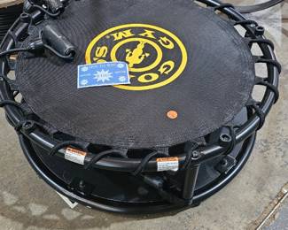 SMALL TRAMPOLINE