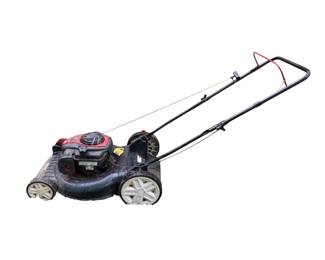 Black Max Push Mower