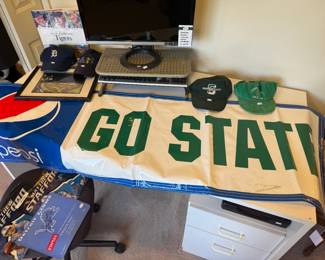 Michigan State Banner