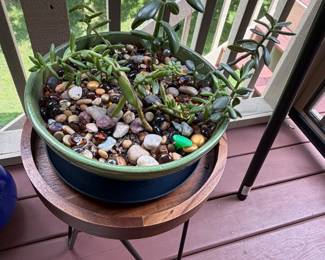 Save a plant