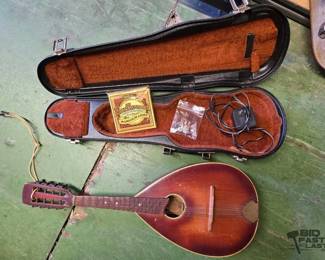 6048  Mandolin Guitar and Strings