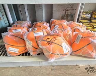 3512  Airless Basketballs