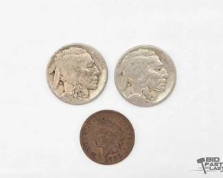 1613  U.S. Buffalo Nickels and Indian Head Penny