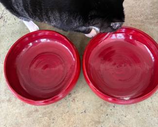 Bowls, cat not included