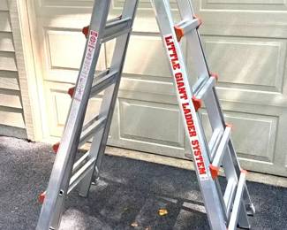 Little Giant Ladder And Work Platform.