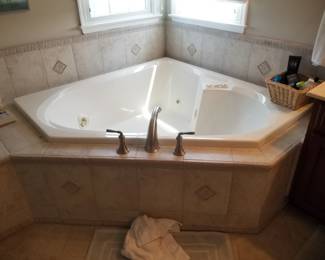 Spa tub