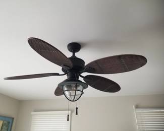 Lighted ceiling fan