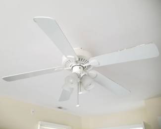 Lighted ceiling fan