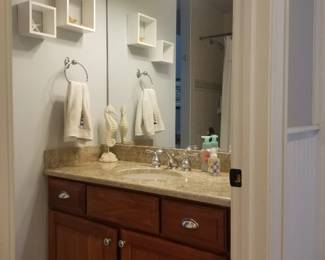 Bath vanity; vanity light; mirror