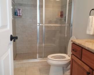 Glass shower doors