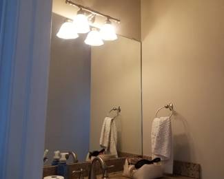 Vanity light; mirror