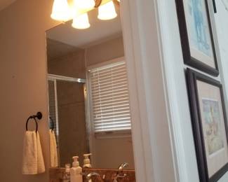 Vanity light; mirror