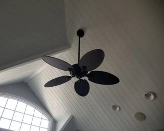 Ceiling fan