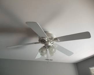 Lighted ceiling fan