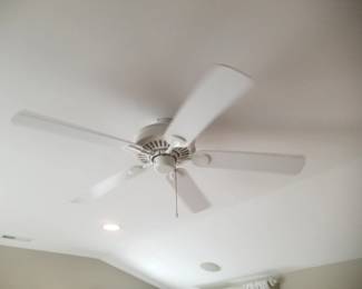 Ceiling fan