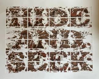 Bev Doolittle Hide And Seek Lithograph Signed And Numbered