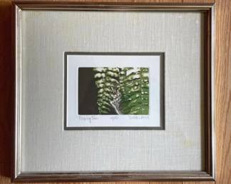 Peeping Tom By Suellen Ross, Signed And Numbered