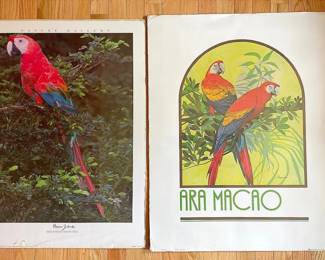 Colorful Scarlet Macaw Posters