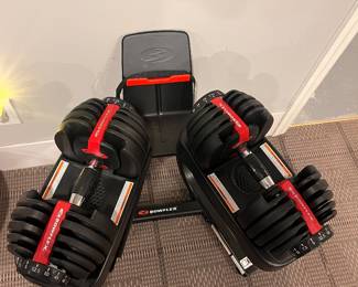 Bowflex weights