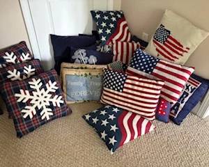 Over 50 Throw Pillows (various colors)