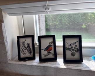 Mini framed bird art