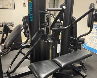 Vectra 4800 whole body gym