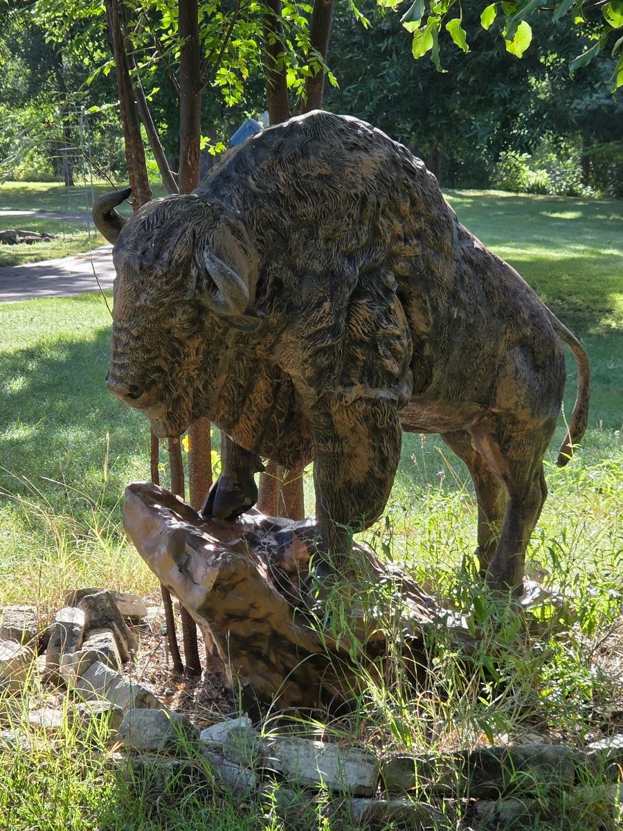 $1200 Buffalo