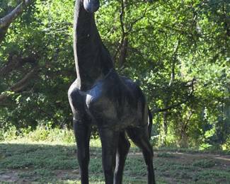 $800 Giraffe