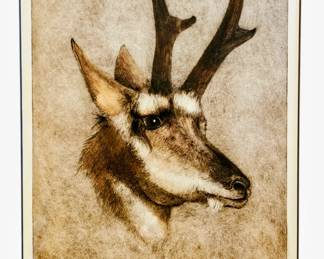 Pronghorn Antelope by Lois Carson