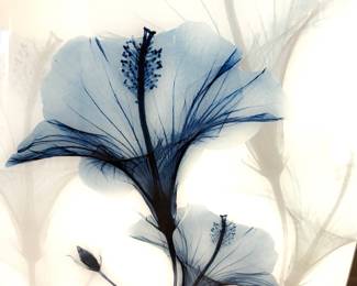 Blue flower painted on glass