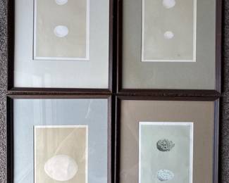 49 Setof4FramedAntiqueBritishBirdEggPrints