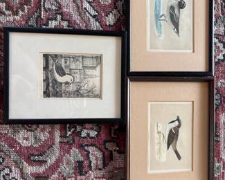 122 1850HandColoredBritishBirdPrintsVintageFramedArtTrio