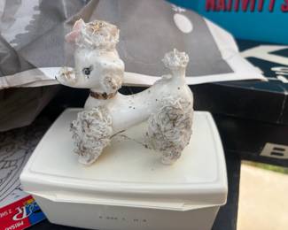 . . . spaghetti poodle