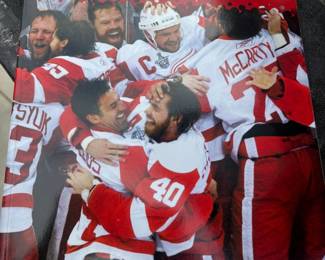 . . . another Red Wing Stanley Cup magazine