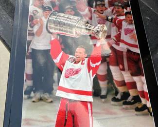 . . . Red Wing commemorative book