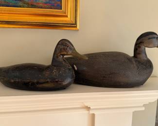 Decoys