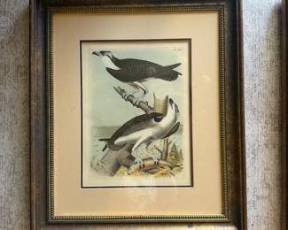 1881 Jacob H Studer chromolithograph--19" by 22" (2 of 2)