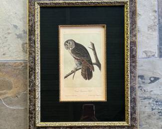 1850s Audubon 14" by 19" from Taylor Clark (2 of 4)